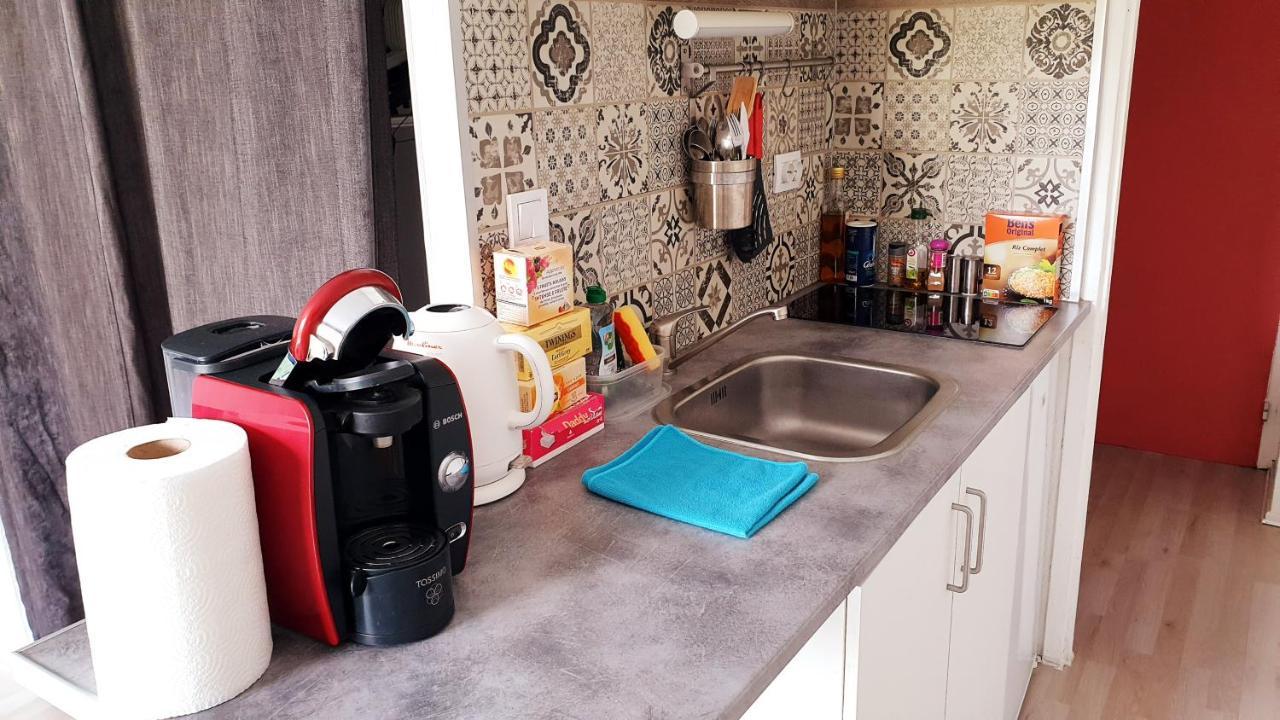 Studio Individuel - Le Musset & Parking Gratuit Devant L'Immeuble Lejlighed Grenoble Eksteriør billede