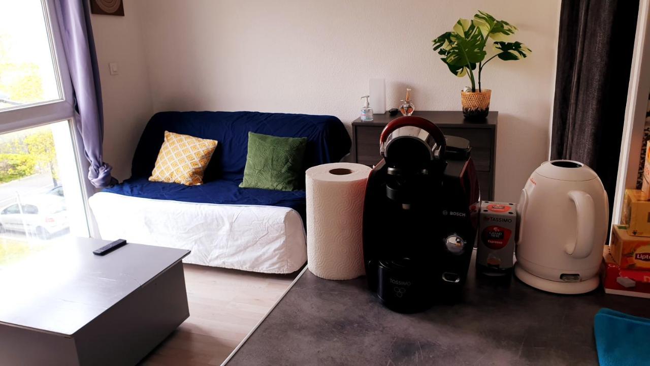 Studio Individuel - Le Musset & Parking Gratuit Devant L'Immeuble Lejlighed Grenoble Eksteriør billede